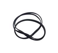 Indesit Courroie d'origine pour sèche-linge 1991 H6 C00300793 Poly V 482000023435