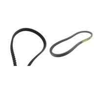 COURROIE DOUBLE DENTURE 1600MM & SKANA - 20619 Courroie Lisse B55 Tondeuse