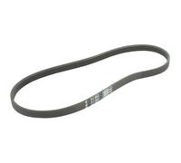 Greenstar 11123 Hutchinson PJ Courroie élastique poly-V 560 x 14,04 mm 6 dents