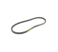 Courroie GGP 135064197/0 - 1350641970 Courroie de traction tondeuse GGP, CASTELGARDEN, STIGA 135064197/0, 1350641970, 1111-9606-01,