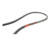 Courroie hexagonale AA112 - JARDIN PRATIC - Série AA112 - Longueur 289,8 cm - Gris
