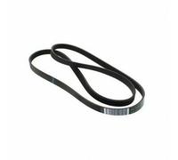 Courroie J5 1239 Lave-Linge WHIRLPOOL ORIGINALE 481235818215