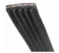 GROUPE FAGOR BRANDT - COURROIE LAVE LINGE 1228J5 MAEL FAGOR BRANDT VEDETTE 55X3417-55X3417