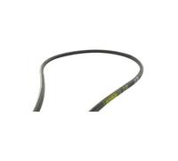 Greenstar 11909 Mitsuboshi AA Courroie lisse hexagonale 2464 mm