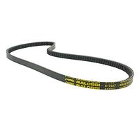 Courroie MALOSSI Special Belt pour Piaggio, Vespa Ciao, PX50 avec variomatik