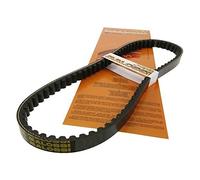 Courroie MALOSSI X-Special pour MINARELLI court