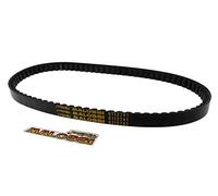 Courroie Malossi X-Special - Tank Classic 50 2T