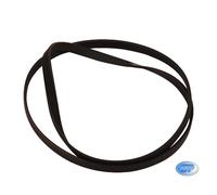 Courroie Moteur Élastique Lave-Linge Indesit Origine C00143610 C00141664
