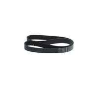 BOSCH 1 987 946 176 Courroie Poly-V