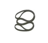 BOSCH 1 987 946 207 Courroie Poly-V