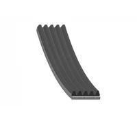Courroie multi-cannelée 20 92 8889 SWAG pour BMW 7 5 5 Touring X5 3 3 Touring