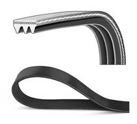 Courroie trapézoïdale à nervures DAYCO 3PK796EE