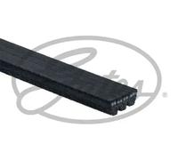 Courroie multi-cannelée 3PK800 GATES pour TOYOTA NISSAN