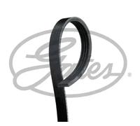 Courroie multi-cannelée 4PK885 GATES pour SUBARU ALFA ROMEO BMW KIA MAZDA OPEL