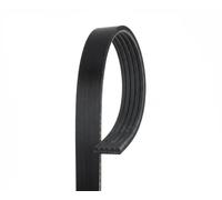 Courroie multi-cannelée 5PK1123 GATES pour CITROËN PEUGEOT MITSUBISHI TOYOTA BMW