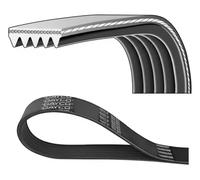 Courroie trapézoïdale à nervures DAYCO 5PK1340