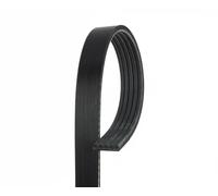 Gates Courroie multi-cannelée 5PK1343 pour Mitsubishi, Lancia, Volvo, Hyundai