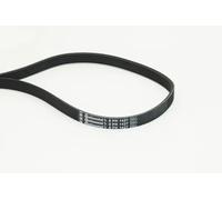 Continental CONTITECH Courroie Poly-V 5PK1427