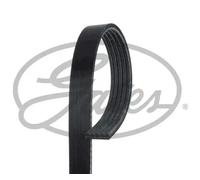 Courroie trapézoïdale à nervures GATES 5PK1545