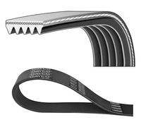 DAYCO 5PK1840 Courroie Poly-V