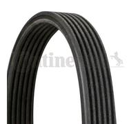 Courroie trapézoïdale à nervures CONTINENTAL 6DPK1100