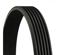 Courroie trapézoïdale à nervures CONTINENTAL 6PK1061 EXTRA