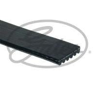 Courroie à nervures trapézoïdales GATES 6PK1305