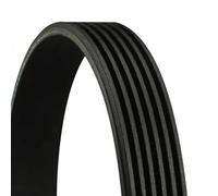 Courroie multi-cannelée 6PK1325 CONTINENTAL CTAM pour AUDI FIAT ALFA ROMEO