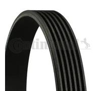 Continental Contitech 6PK1698 Courroie trapézoïdale à nervures
