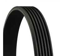 ContiTech Courroie trapézoïdale à nervures 6PK1740 – multi-cannelée pour Citroën Peugeot Lancia