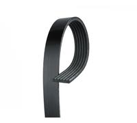 GATES 6PK1835XQ Courroie Poly-V