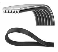 Courroie multi-cannelée 6PK1894K DAYCO pour OPEL CHEVROLET
