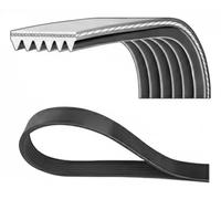 Courroie trapézoïdale à nervures DAYCO 6PK2020