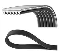 Courroie trapézoïdale à nervures DAYCO 6PK2080HD