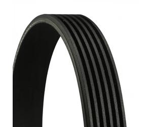 Courroie multi-cannelée 6PK2528 CONTINENTAL CTAM pour MERCEDES-BENZ PORSCHE