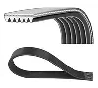 DAYCO 6PK842EE Courroie Poly-V