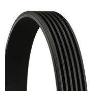 Courroie trapézoïdale à nervures CONTINENTAL 6PK922 EXTRA