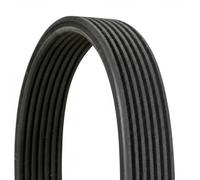Courroie multi-cannelée 7DPK1697 CONTINENTAL CTAM pour BMW 5 5 Touring