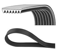 Courroie trapézoïdale à nervures DAYCO 7PK1095