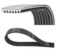 Courroie trapézoïdale à nervures DAYCO 7PK1325