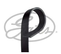 Courroie multi-cannelée 7PK1335 GATES pour FIAT MERCEDES-BENZ NISSAN OPEL