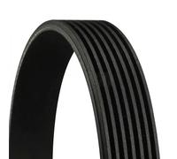 ContiTech Courroie Poly-V 7PK1785 pour Renault, Honda