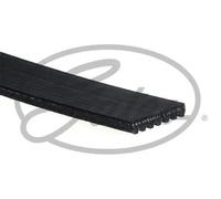 Courroie trapézoïdale à nervures GATES 7PK1800