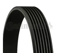 Courroie multi-cannelée 7PK1815 CONTINENTAL CTAM pour HONDA NISSAN TOYOTA
