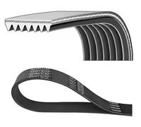 Courroie multi-cannelée 7PK1980 DAYCO pour MERCEDES-BENZ SPRINTER 3,5-t Fourgon