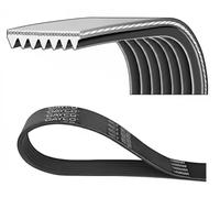 DAYCO 7PK2842 Courroie Poly-V