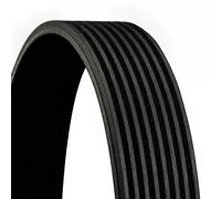 Courroie multi-cannelée 8PK1162 EXTRA CONTINENTAL CTAM pour BMW X3 3 3 Touring 5