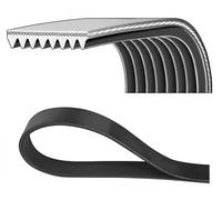 DAYCO 8PK1230 Courroie Poly-V