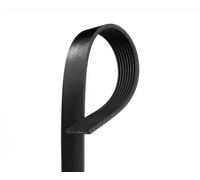 Courroie trapézoïdale à nervures GATES 8PK1235HD