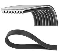 Courroie multi-cannelée 8PK2095HD DAYCO